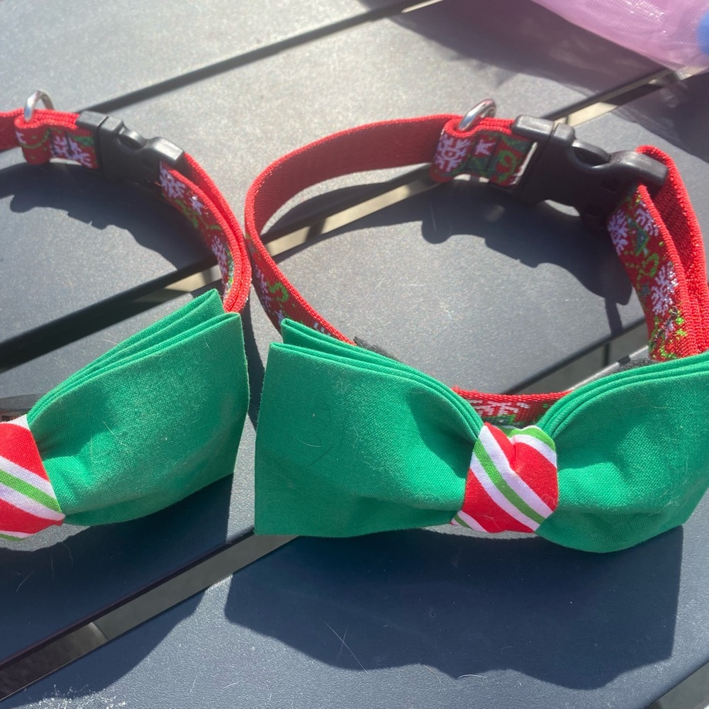 Lupine holiday collar with Joe the Boxer bow tie